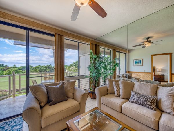 Wailea Home 1018369