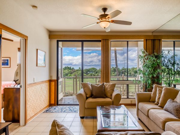 Wailea Home 1018369