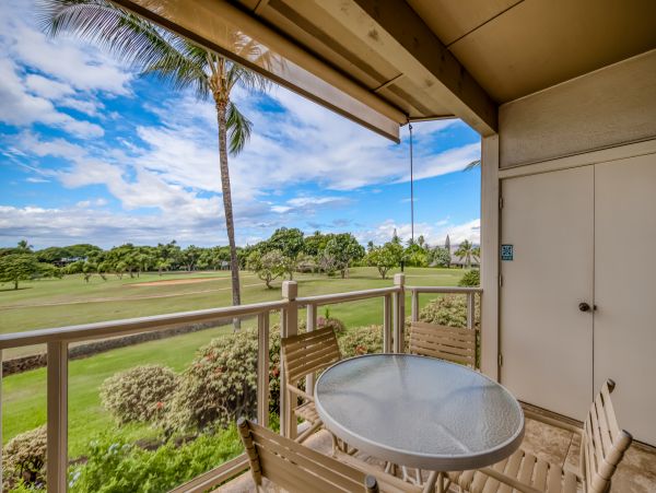 Wailea Home 1018369