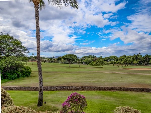 Wailea Home 1018369