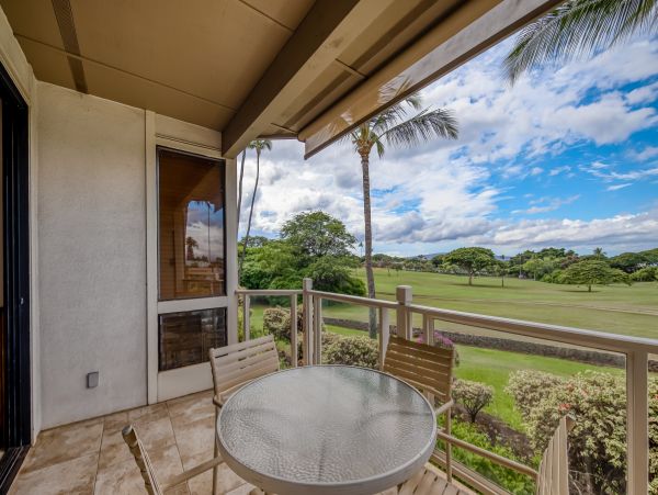 Wailea Home 1018369