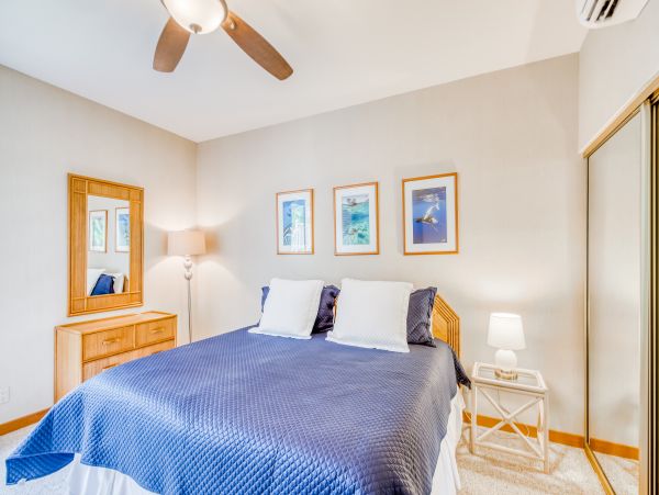Wailea Home 1018369