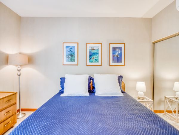 Wailea Home 1018369