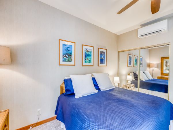 Wailea Home 1018369