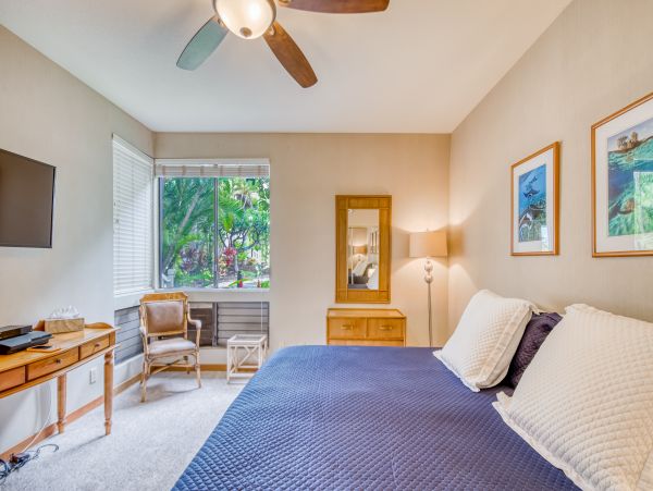 Wailea Home 1018369