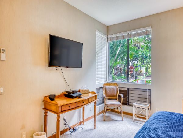 Wailea Home 1018369