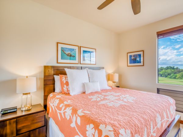 Wailea Home 1018369