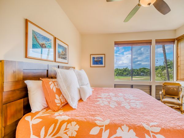 Wailea Home 1018369