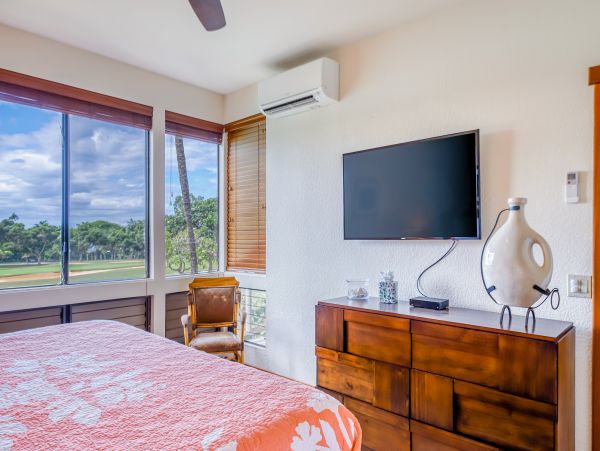 Wailea Home 1018369