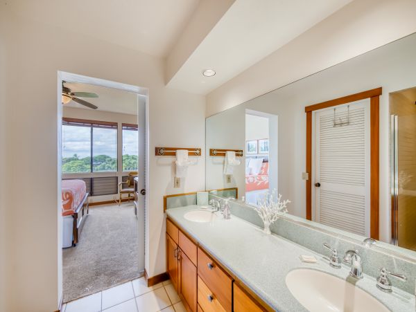 Wailea Home 1018369