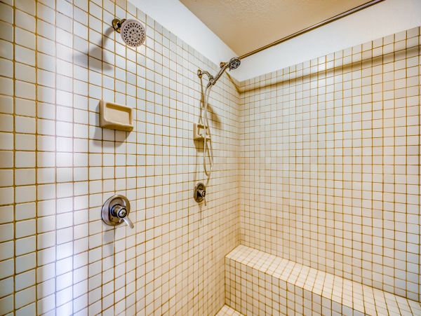 Wailea Home 1018369