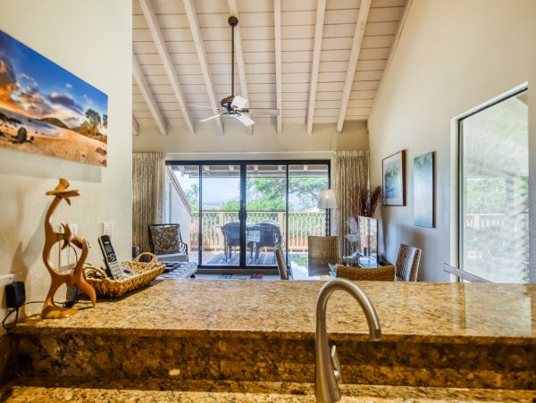 Wailea Home 1018370