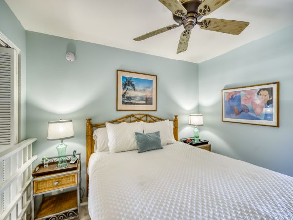 Wailea Home 1018370