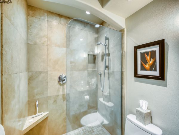 Wailea Home 1018370