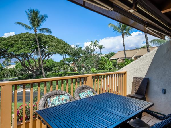 Wailea Home 1018370