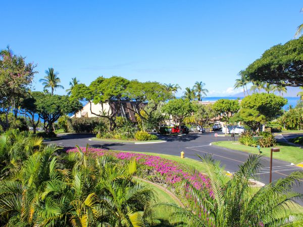 Wailea Home 1018370