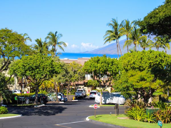 Wailea Home 1018370