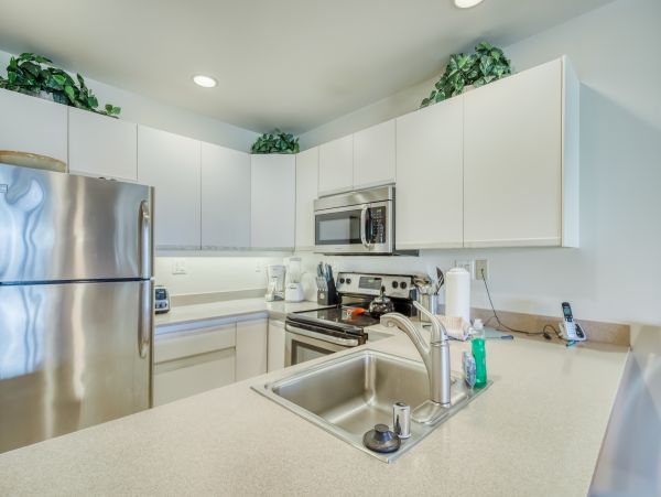 Wailea Home 1018371