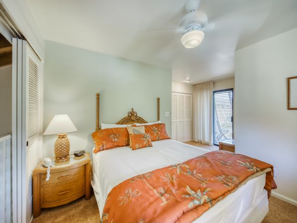 Wailea Home 1018371