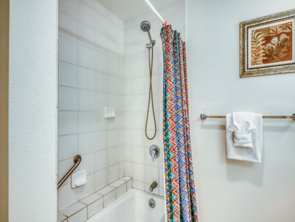 Wailea Home 1018372