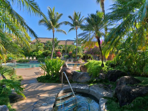 Wailea Home 1018372