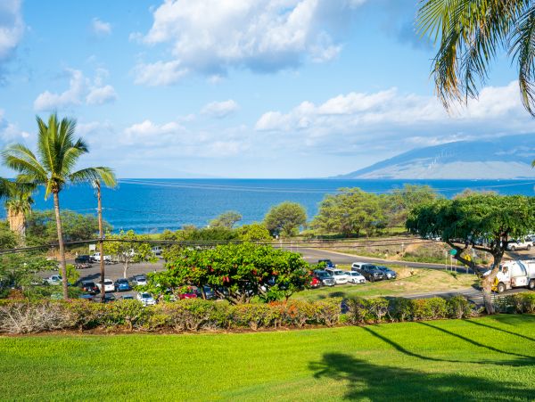 Wailea Home 1018373