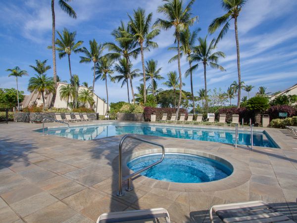 Wailea Home 1018373