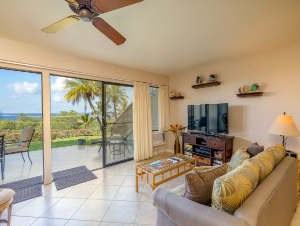 Wailea Home 1018373