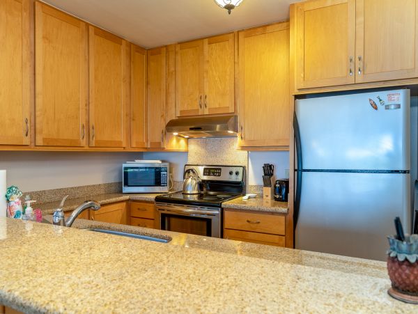 Wailea Home 1018373