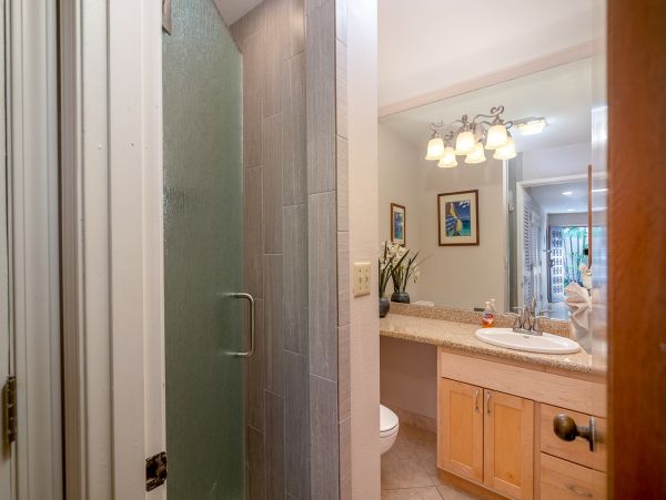 Wailea Home 1018373
