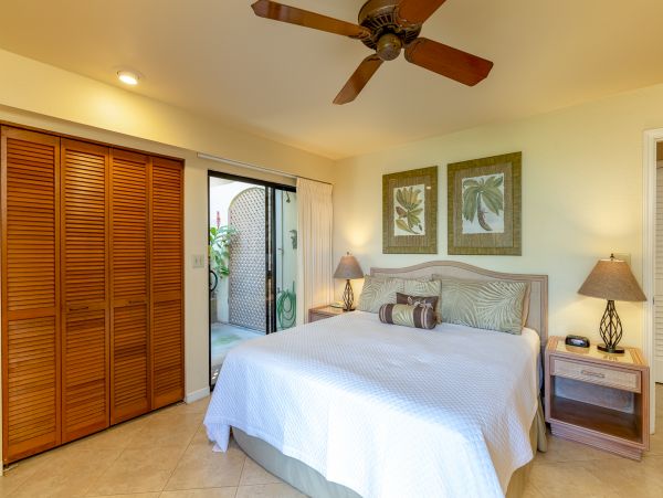Wailea Home 1018373