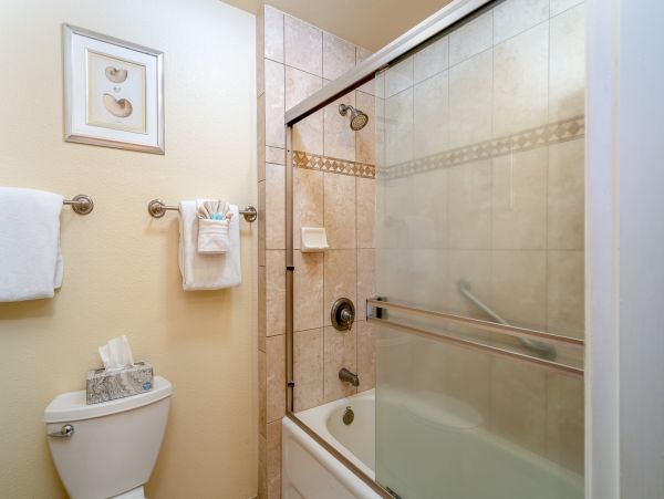 Wailea Home 1018373
