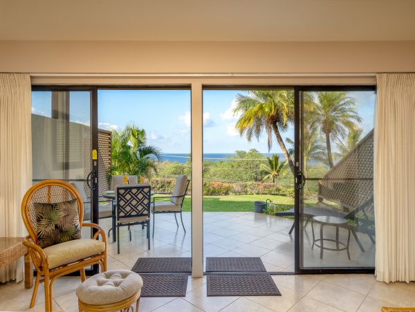 Wailea Home 1018373