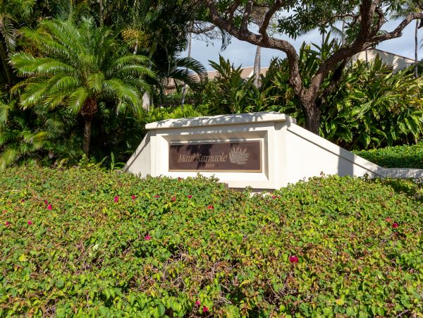 Wailea Home 1018373