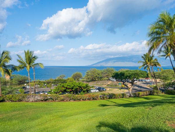 Wailea Home 1018373