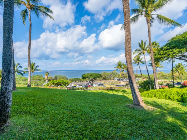 Wailea Home 1018373