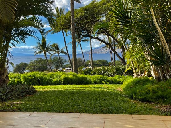 Wailea Home 1018374