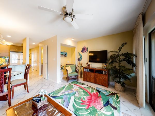 Wailea Home 1018374