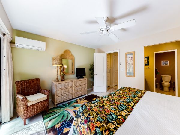 Wailea Home 1018374