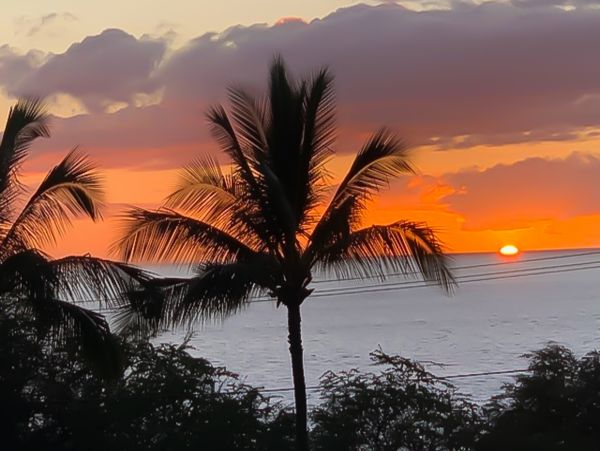 Wailea Home 1018374