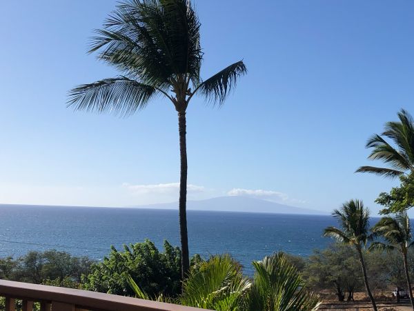 Wailea Home 1018375