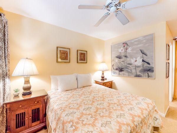 Wailea Home 1018375