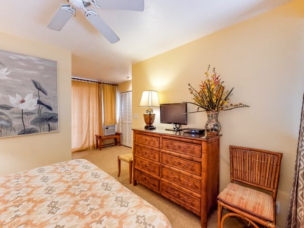 Wailea Home 1018375
