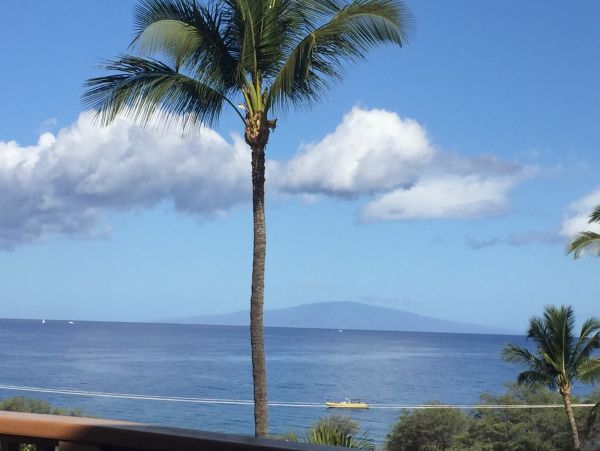 Wailea Home 1018375