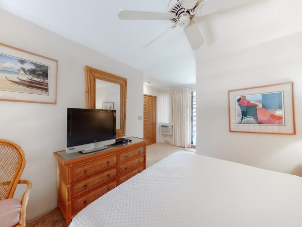 Wailea Home 1018376