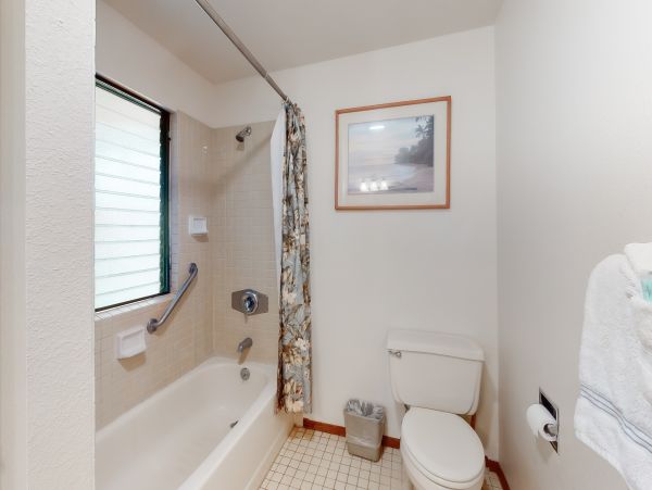 Wailea Home 1018376