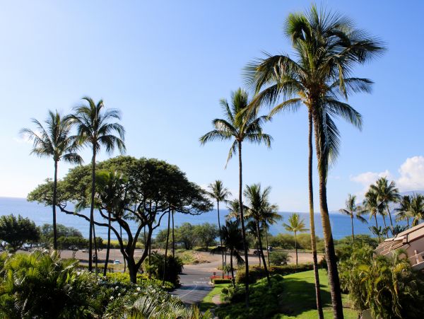 Wailea Home 1018377