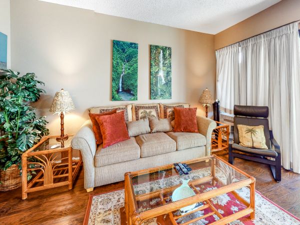 Wailea Home 1018378