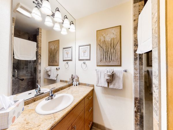 Wailea Home 1018379