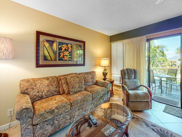 Wailea Home 1018380